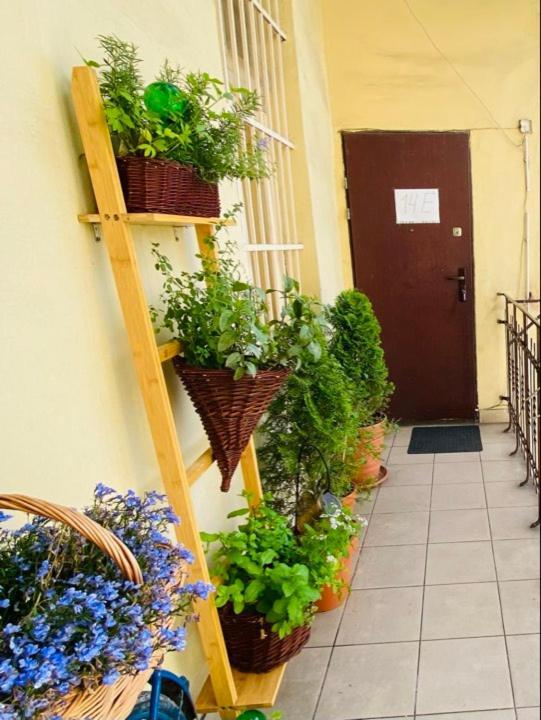 Miodowa Kazimierz Apartment Cracovie Extérieur photo